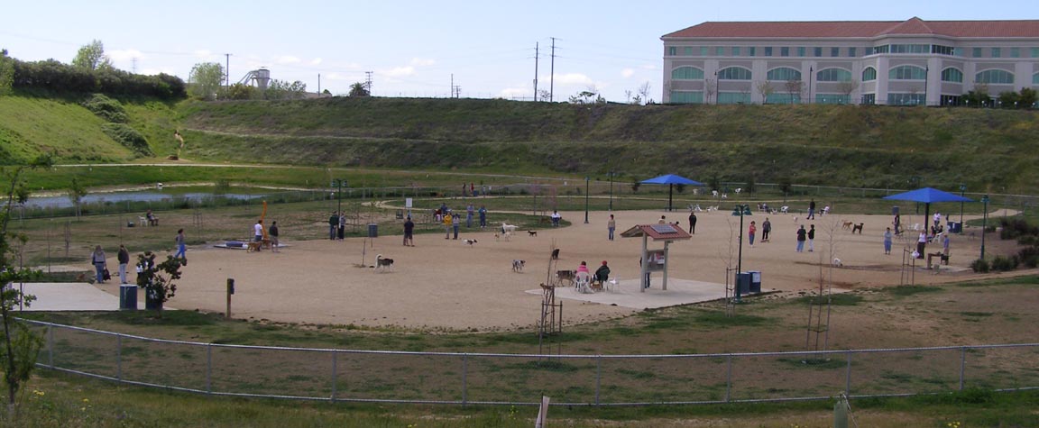 dogpark dogpark